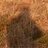 p_bogas's profile image