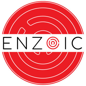 Enzoic’s industry-leading solutions protect your customers and employees from authentication fraud online and in Active Directory.
