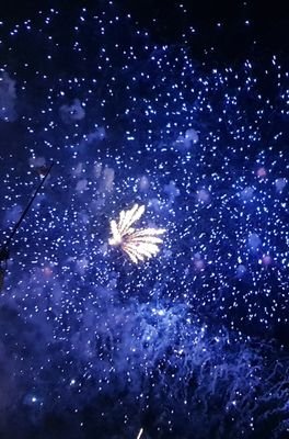 reflectionebula's profile picture. 