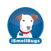 iSmellBugs's profile picture. At iSmellBugs, we are your local bedbug specialists, and we can help you to quickly detect, eliminate, and prevent bedbug infestations.