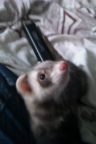 Kris54000's profile picture. L'urgent est fait, l'impossible est en cours, pour les miracles prévoir un délai.