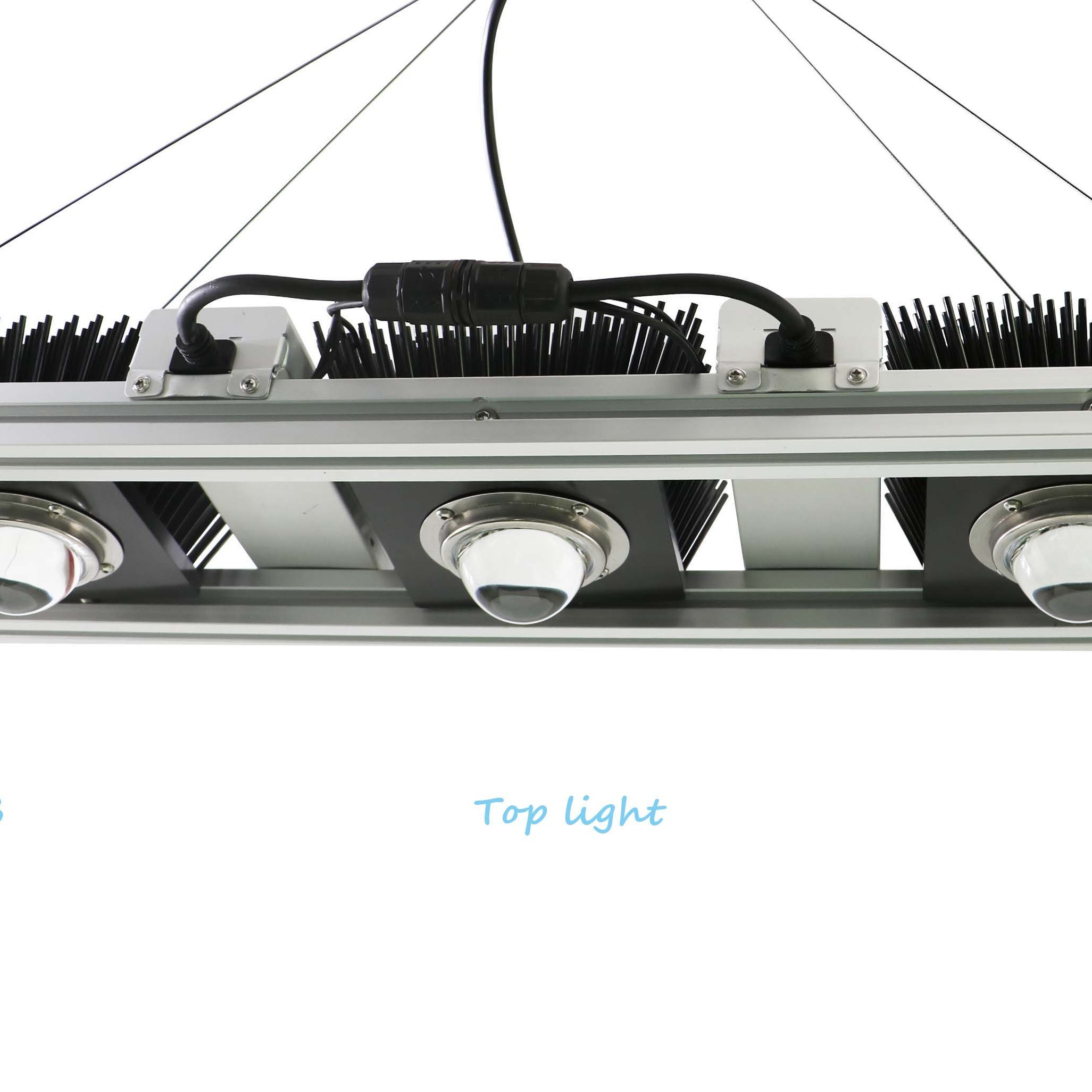 ken_szfutureled's profile picture. The LED grow light manufacturer🍒🌶️🥬😃