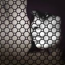 Elle Lynn Johnson - @LynnJohnson8 - Twitter