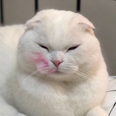 _ys_soy_'s profile picture. ❤️SNSD ❤️ Yoona