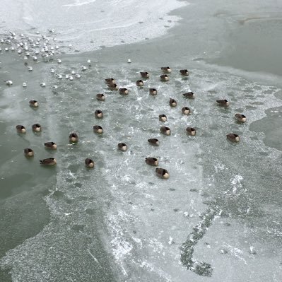 qxmhzl's profile picture. Nothing special