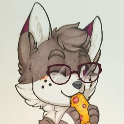 Maddalyn of The Corgis 🐾さんのプロフィール画像