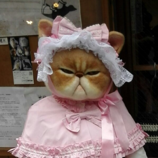 ThirdGradeCat's profile picture. Burning bridges light my way.