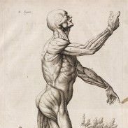 I'm a human.
As you're blessed by God ,now you can go through my contents., memes, news etc.
