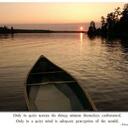 Jins Thomas - @jinsthellakathu - Twitter