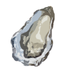 oyster (@ricacz) Twitter profile photo oyster (@ricacz) Twitter profile photo