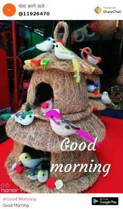 Rishira55325100's profile picture. ghazibad india