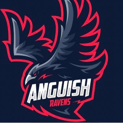 Official Twiiter of the PS4 eSports organization Team Anguish! Affiliated with Rogue Energy #BewareTheRaven
