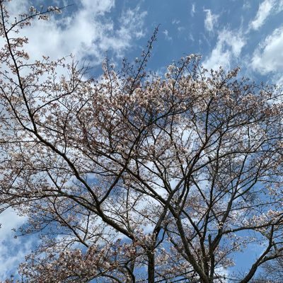 ベールtype2さんのプロフィール画像