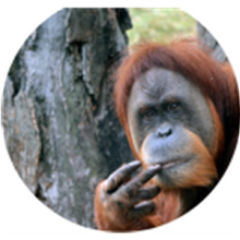 jcaubin's profile picture. TIC - AGE
Tecnología, Ciencia, Naturaleza, Coches  viejos, Mecánica,  Urbanismo, Política, Arte, Cualquier cosa que merezca la pena y que no también