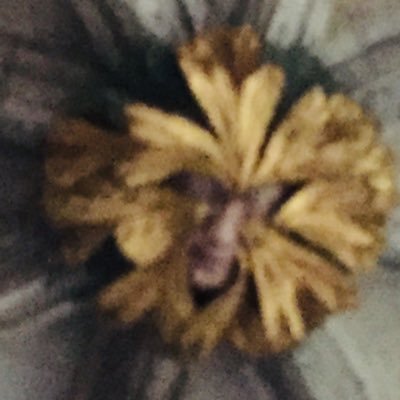 Tensmachine1's profile picture. Plant-eater, music-drinker, play-scoffer, novel-chomper, verse-gulper, and film-muncher. Limited yoga and meditation skills available upon request