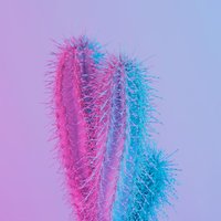 Cactus By Baxter Personnel(@cactusbaxter) 's Twitter Profile Photo