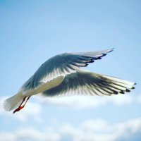 Lens nostargie (@koka1969) 's Twitter Profile Photo