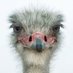 Celia (@celiaborja_) Twitter profile photo Celia (@celiaborja_) Twitter profile photo