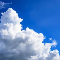 入道雲 (@iwykn) 's Twitter Profile Photo