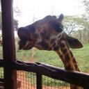 Carter Calhoun - @TweeterCarter - Twitter