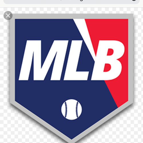 BASEBALL EXPERT/ FAN OF ALL 30 MLB TEAMS/FOLLOWING MINOR LEAGUE BASEBALL PLAYERS/BEER LOVER