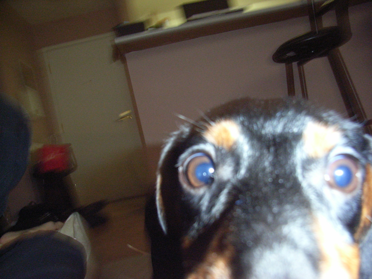 mxkano's profile picture. 