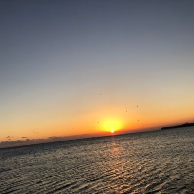 強迫性障害治療開始(24.7〜) 適応障害(24.11〜)退職して療養期間🥺今は主婦兼自宅警備員であります👮 フォロバは共通の嗜好・radio番組リスナー様や症状の方以外は基本しないのでご了承下さいませ🙇🏻♀️ 出会い❌副業❌エロ垢❌ フォロー&解除ご自由に🙆リポストのみや人数稼ぎは外します