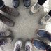 Caldicot Geography (@caldicotgeogra1) Twitter profile photo