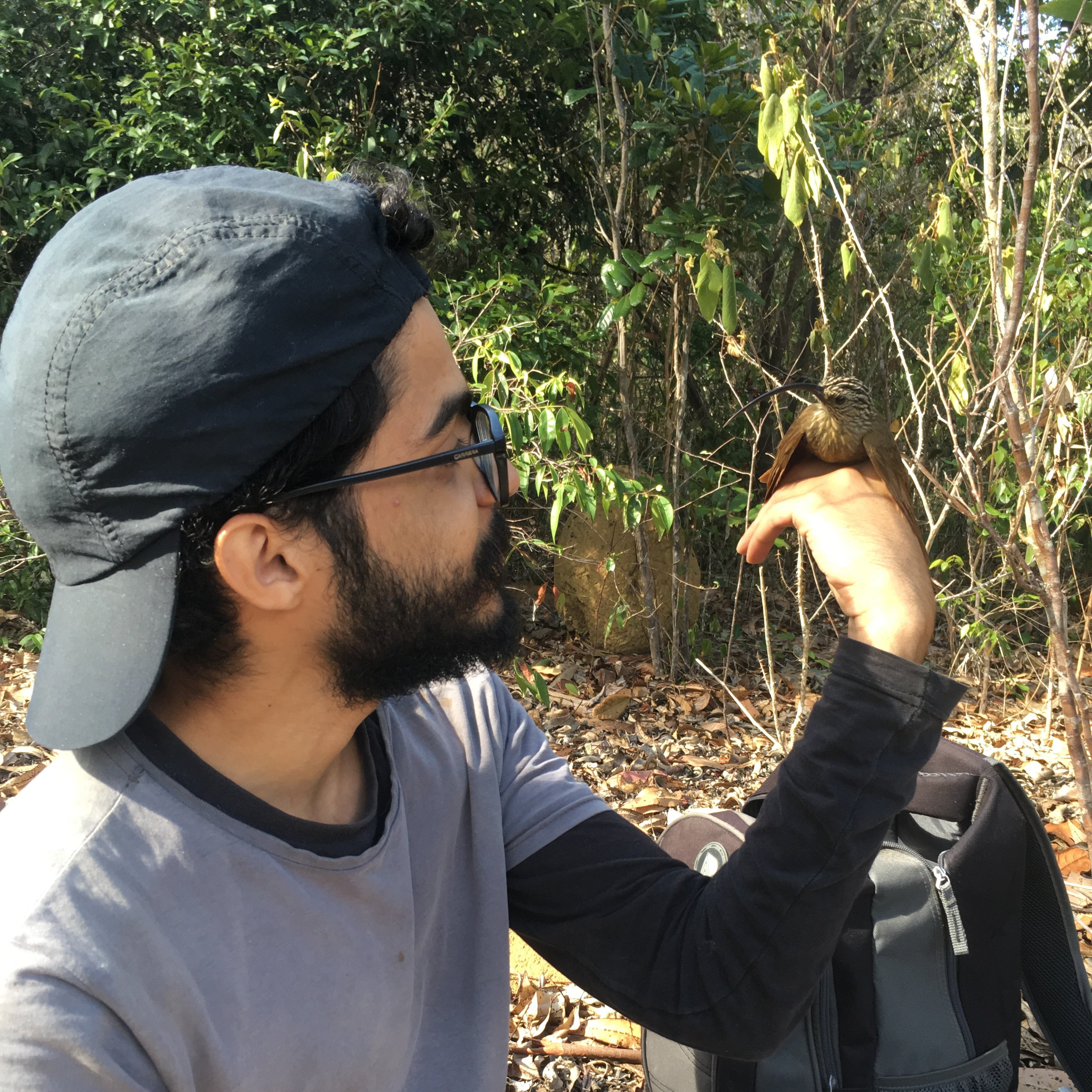 Evolutionary biologist. PhD candidate in the #CarnavalLab, @CUNY, interested in connections between ecology and evolution 🐦🧬🏳️‍🌈(he/him)