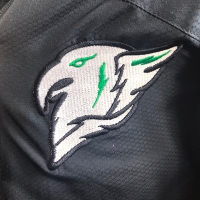 WellnessTwin's profile picture. @TwinLakesSecondarySchool Health and Wellness 💙