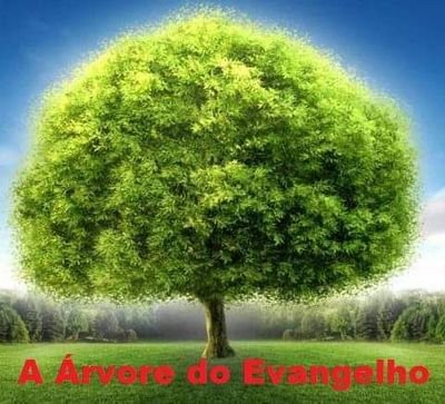 A Árvore do Evangelho