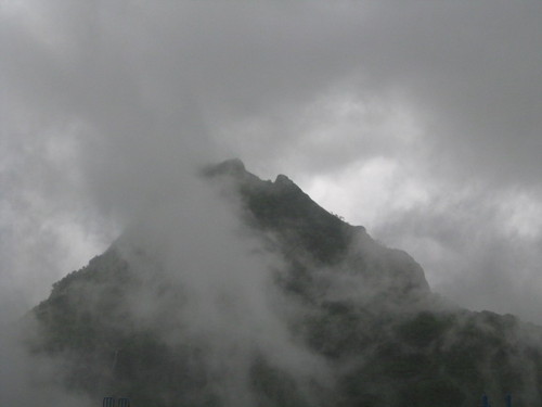 PK_tweets__'s profile picture. 