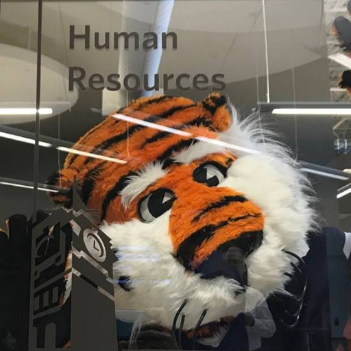 Proud to offer employment services, campus relations, classification and compensation, payroll, benefits, records, and HR development for @AuburnU. #WarEagle