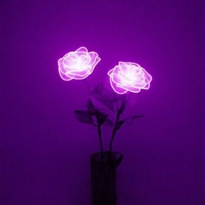 Aesthetic Purple (@lavender_blooms) / X