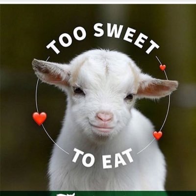 Vegan. Reason? Animal cruelty! 💚💚