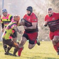 Llew Nicholls (@llewthesaffa) 's Twitter Profile