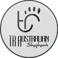 T & R Aussies(@TnRAussies) 's Twitter Profile Photo
