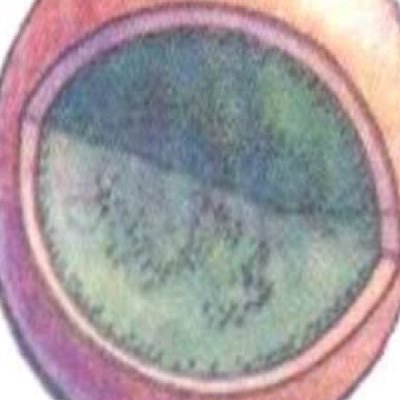 lizobero5's profile picture. https://t.co/76XpI1eiOw.