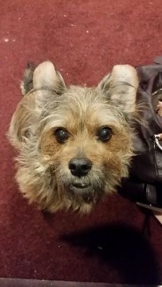 kueppers_sarah's profile picture. Loves theatre, Christ, writing, drawing, family, and friends!  - 1 Tim. 4:12