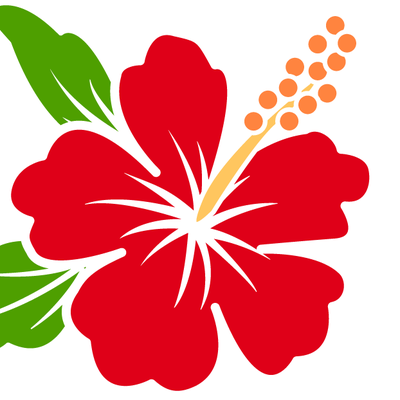 ハワイに花を贈るなら Hanadeli Com Hanadeli Com Twitter