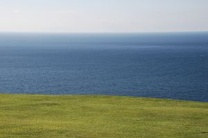 talmotalchool's profile picture. 안녕하세요. 
저는 유기농 샴푸 쇼핑몰을 운영하고 있는 사람입니다. 
탈모로 고생하시는 분들과 좋은 정보를 공유하고 같이 고민을 같이하고 싶어 트위터를 시작하게 되었습니다.
친구 신청 많이 해주세요.