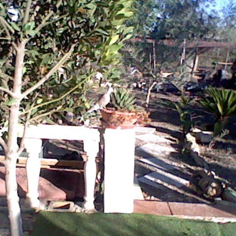 loljinx23's profile picture. hay