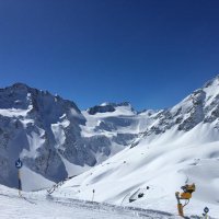 Vicky_S65 (@overbutnotout) 's Twitter Profile