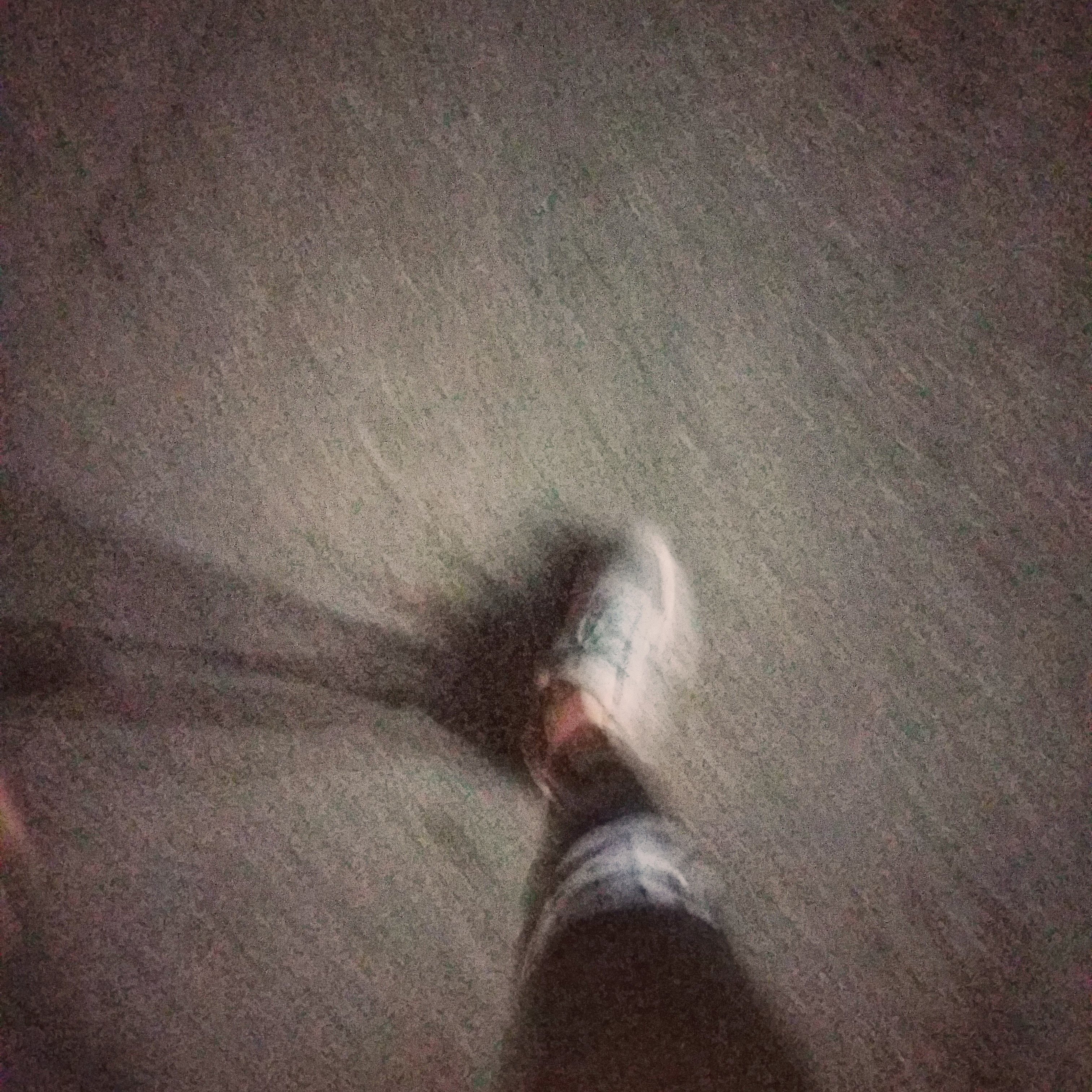 tcl52369499's profile picture. 