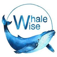 Whale Wise(@WhaleWiseLive) 's Twitter Profile Photo