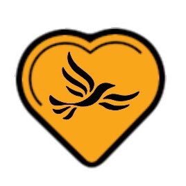 Lib Dem Health and Social Care 🔶