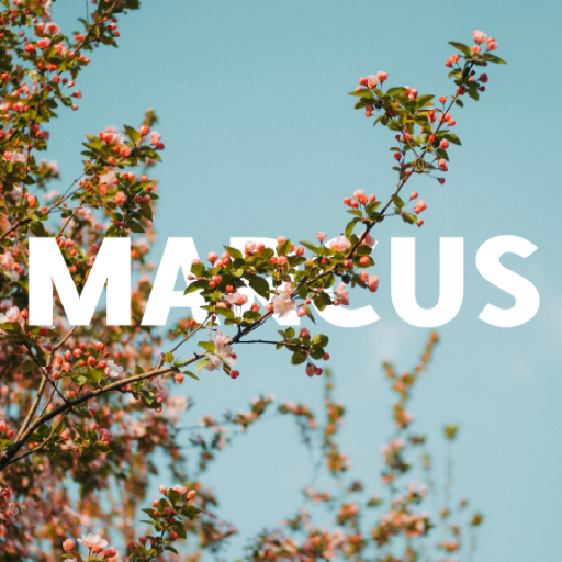 admficus's profile picture. 