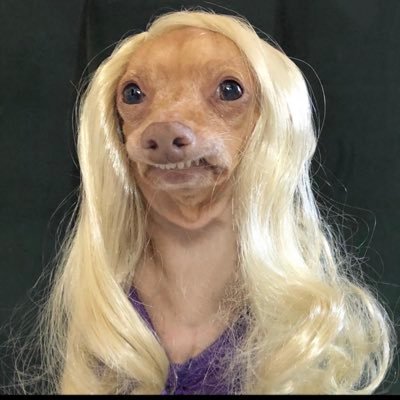 Krystie25's profile picture. You were my cup of tea, but I drink champagne now 🥂