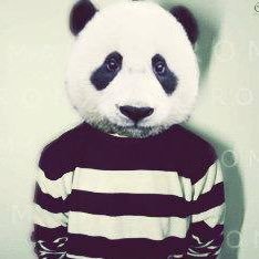 CptPandarino's profile picture. Hobby Streamer & Panda Fan