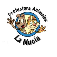 Protectora La Nucia (@pro_ani_lanucia) 's Twitter Profile Photo Protectora La Nucia (@pro_ani_lanucia) 's Twitter Profile Photo